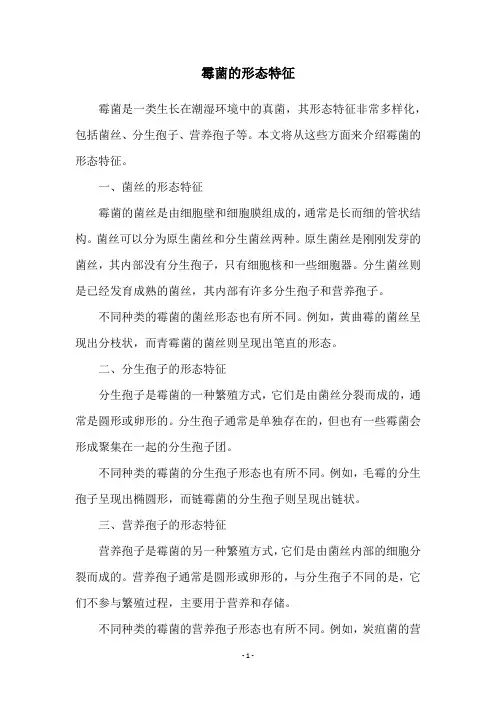 霉菌的形态特征