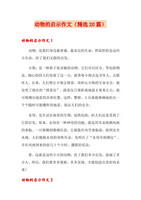 动物的启示作文(精选20篇)