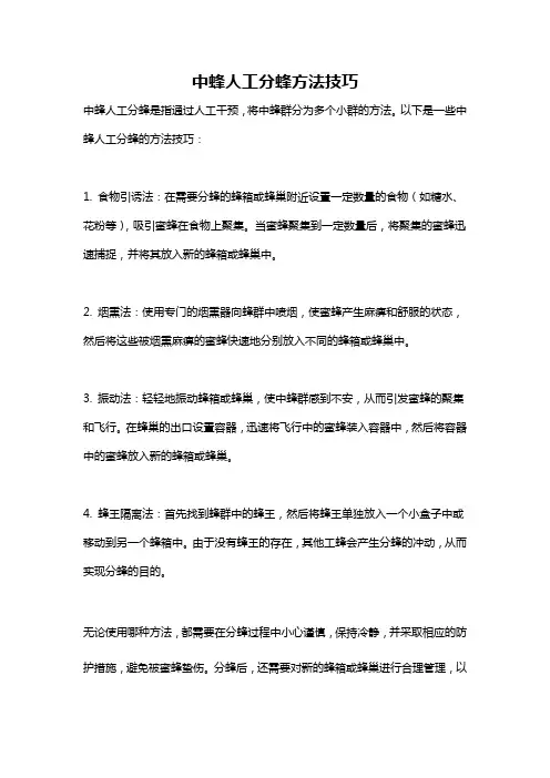 中蜂人工分蜂方法技巧