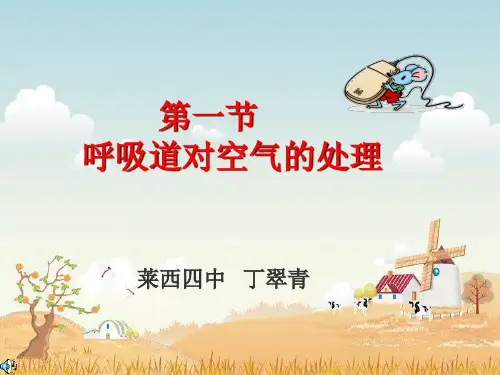 呼吸道对空气的处理(32)
