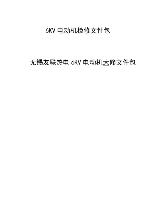 轴承式电机大修文件包.