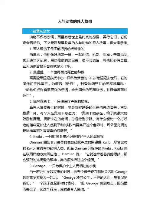 人与动物的感人故事