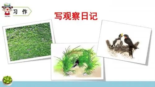 部编人教版四年级语文上册习作《写观察日记》精品课件(共60张PPT)