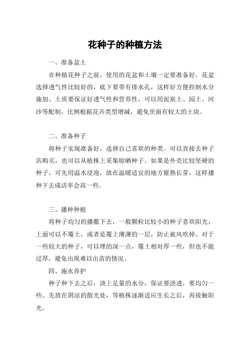花种子的种植方法