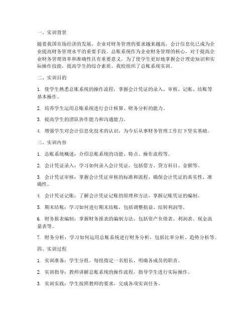 总账系统实训报告总结