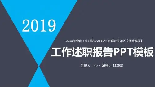2018年电商工作总结及2018年渠道运营规划【优秀模板】