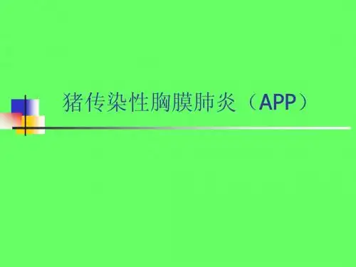 传染性胸膜肺炎(APP)