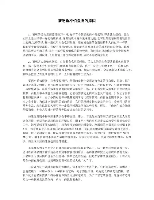 猫吃鱼不怕鱼骨的原因