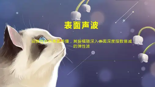 表面声波    