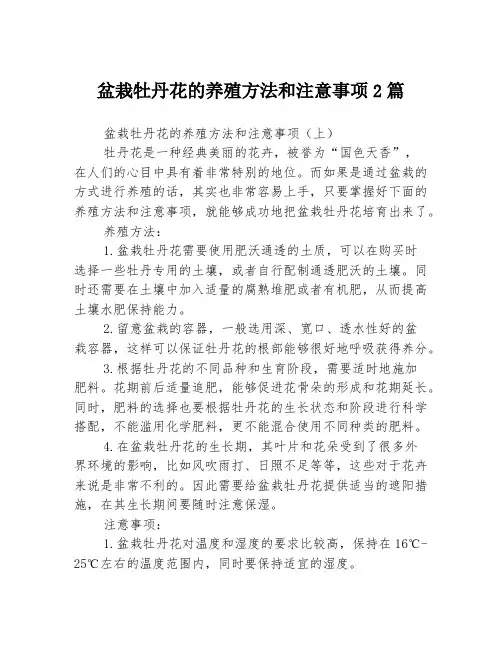 盆栽牡丹花的养殖方法和注意事项2篇