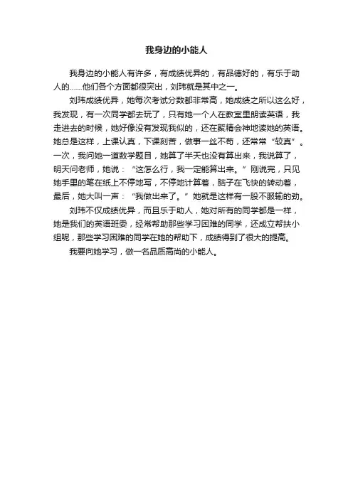 我身边的小能人