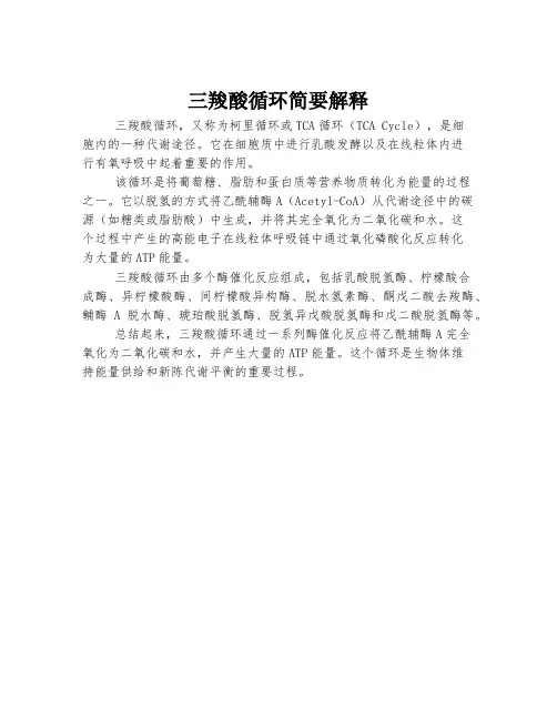 三羧酸循环简要解释