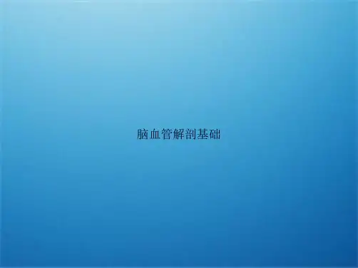 脑血管解剖基础(共8张PPT)