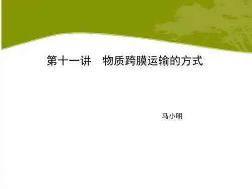 人教版·高中生物·高三一轮复习课件·第11讲 物质跨膜运输的方式