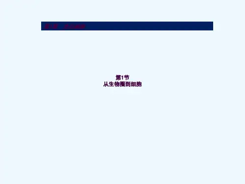 培训资料-从生物圈到细胞ppt课件