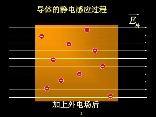 电场和磁场与物质的相互作用wd解读