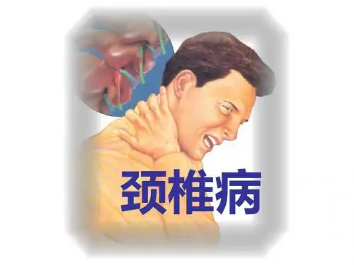 颈椎病--颈椎的解剖课件