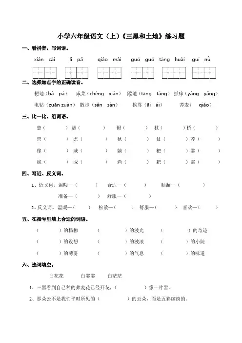 部编版小学六年级上册语文20.《三黑和土地》同步练习(含答案)