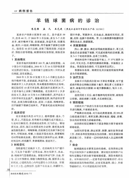 羊链球菌病的诊治