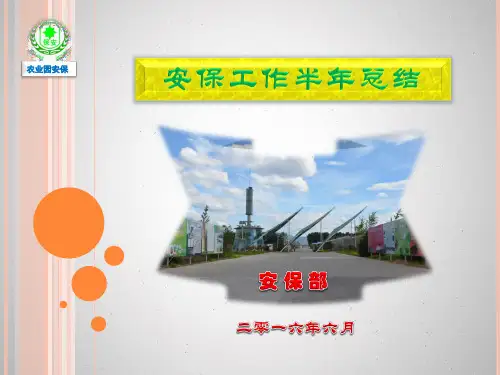 2016年安保部半年总结