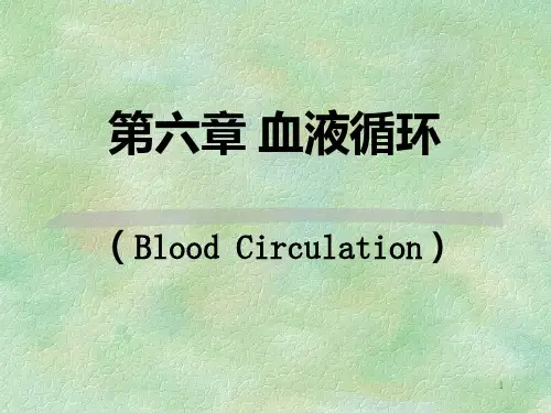 循环系统的结构与功能PPT课件