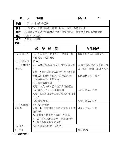 人体的结构层次