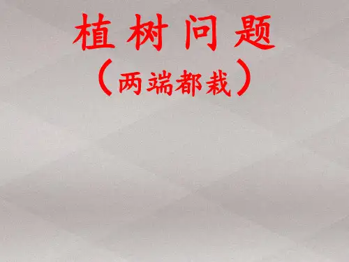 五年级上册数学课件-7 数学广角──植树问题｜人教版(共20张PPT)