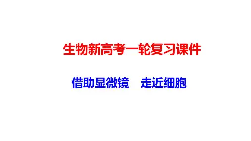 生物新高考一轮复习课件：1-1 借助显微镜 走近细胞