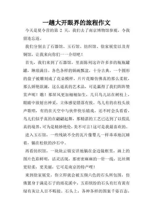 一趟大开眼界的旅程作文