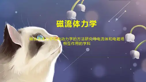 磁流体力学 