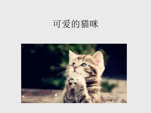浙美版小学二年级美术下册可爱的猫咪_课件1