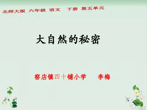 六年级下册语文授课课件-5.3《大自然的秘密》｜北师大版(共15张PPT)