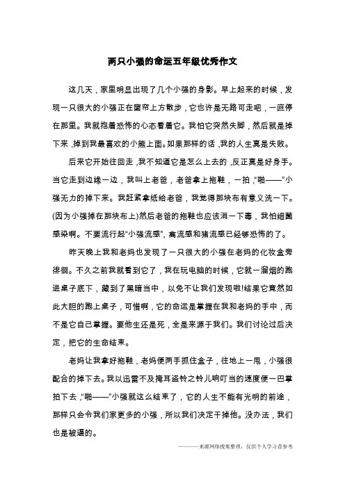 两只小强的命运五年级优秀作文