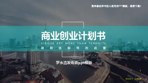 【推荐下载】2018-2019年罗永浩发布会ppt模板【实用ppt】