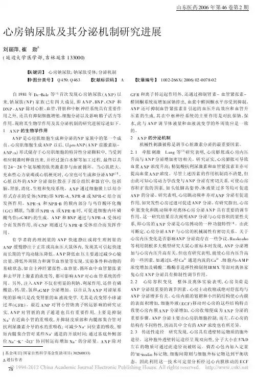 心房钠尿肽及其分泌机制研究进展_刘丽萍