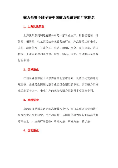 磁力泵哪个牌子好中国磁力泵最好的厂家排名