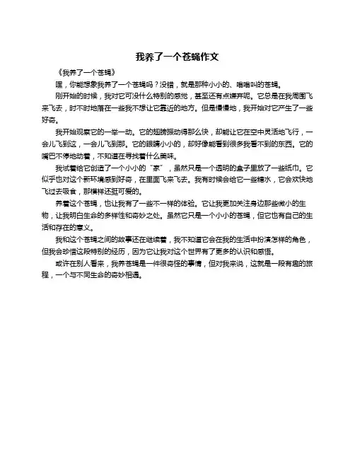 我养了一个苍蝇作文