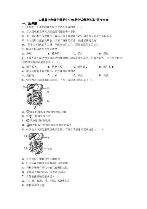 人教版七年级下册期中生物期中试卷及答案-百度文库