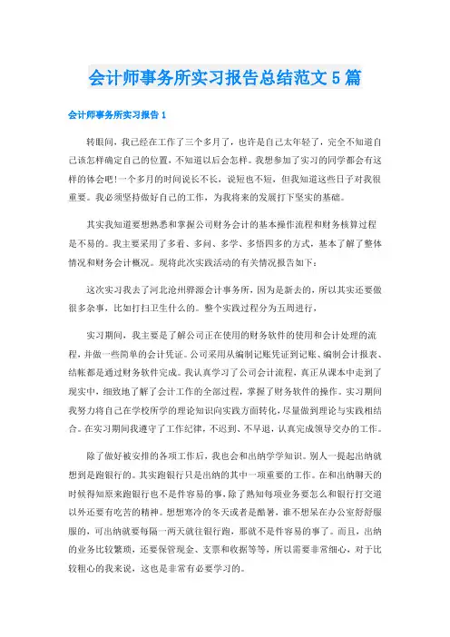 会计师事务所实习报告总结范文5篇
