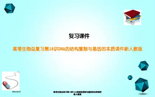 高考生物总复习第18讲DNA的结构复制与基因的本质课件新人教版