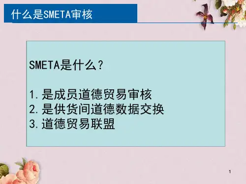 什么是SMETA审核(PPT 51页)