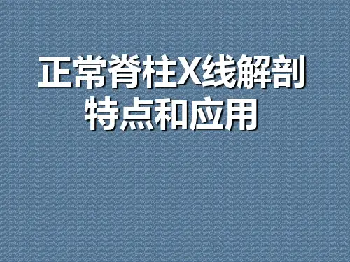 正常脊柱X线解剖特点和应用