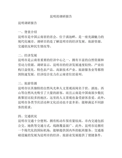 昆明的调研报告