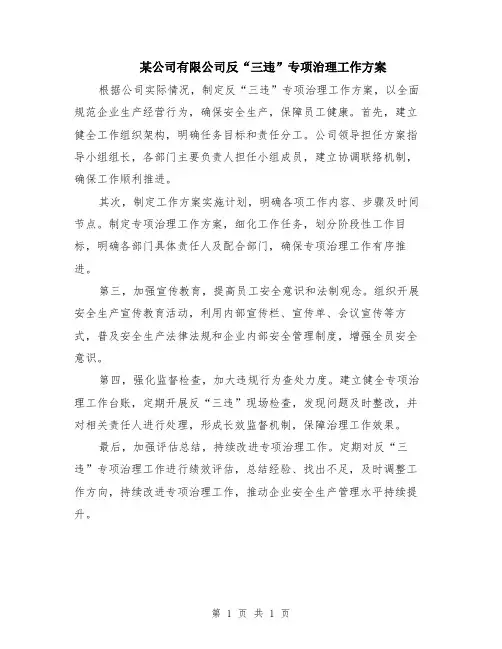 某公司有限公司反“三违”专项治理工作方案