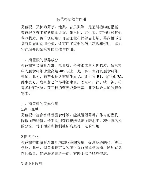 菊苣根功效与作用
