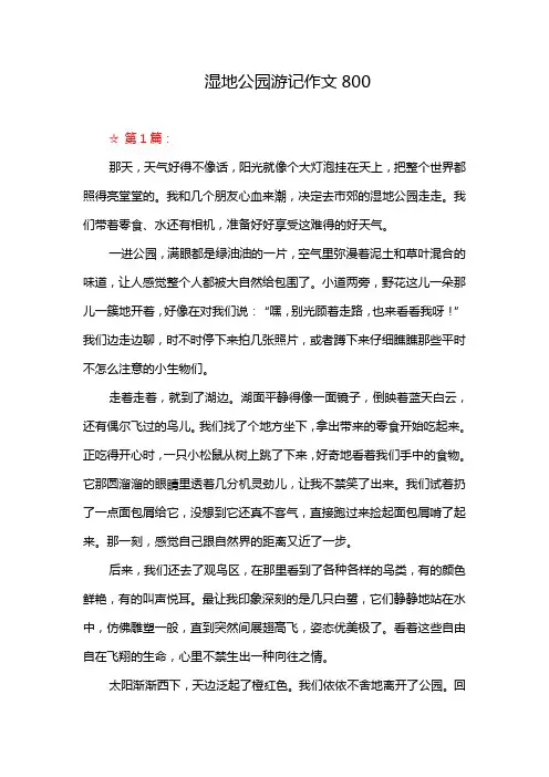 湿地公园游记作文800
