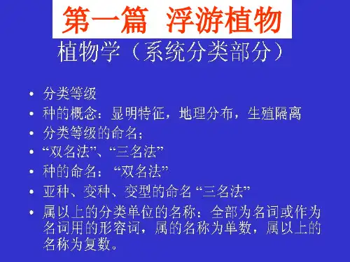 浮游生物zxhu200801