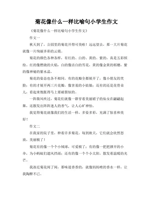 菊花像什么一样比喻句小学生作文 2