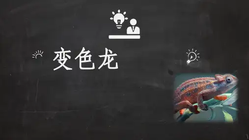 变色龙 课件ppt（共34张PPT）