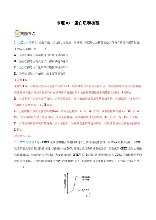 专题03 蛋白质和核酸(解析版)